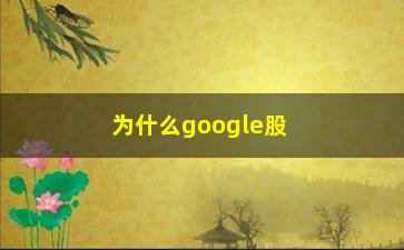 “为什么google股票比apple贵